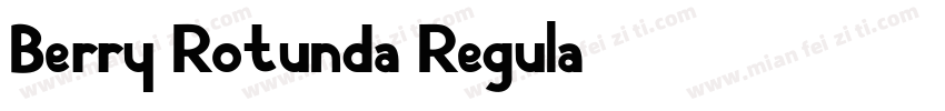 Berry Rotunda Regula字体转换